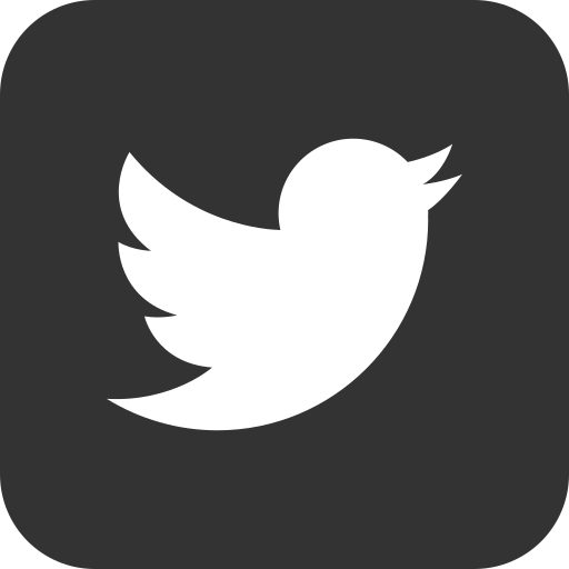 Twitter, bird, social media, message icon